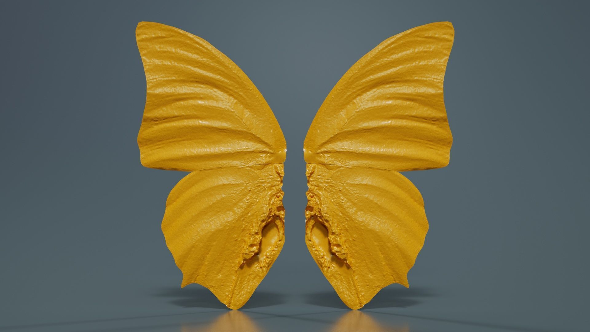 Tawny Rajah Charaxes Bernardus Low-poly 3D model_12
