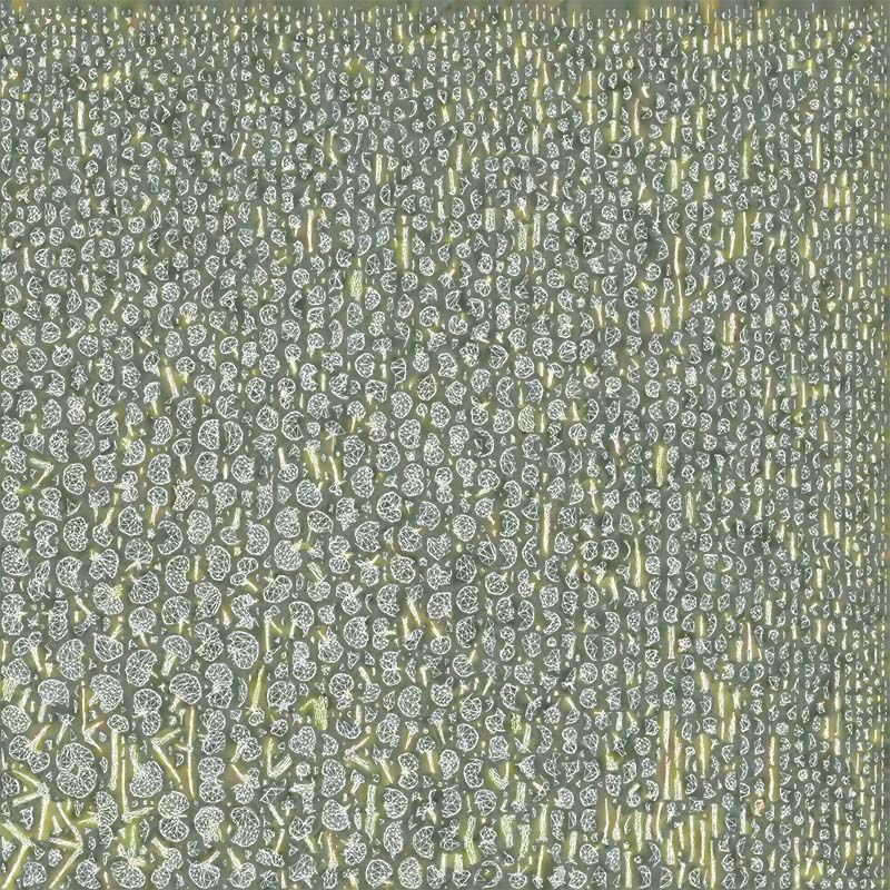 Apple Snow Cider Gum Eucalyptus Gunnii Low-poly 3D model_14