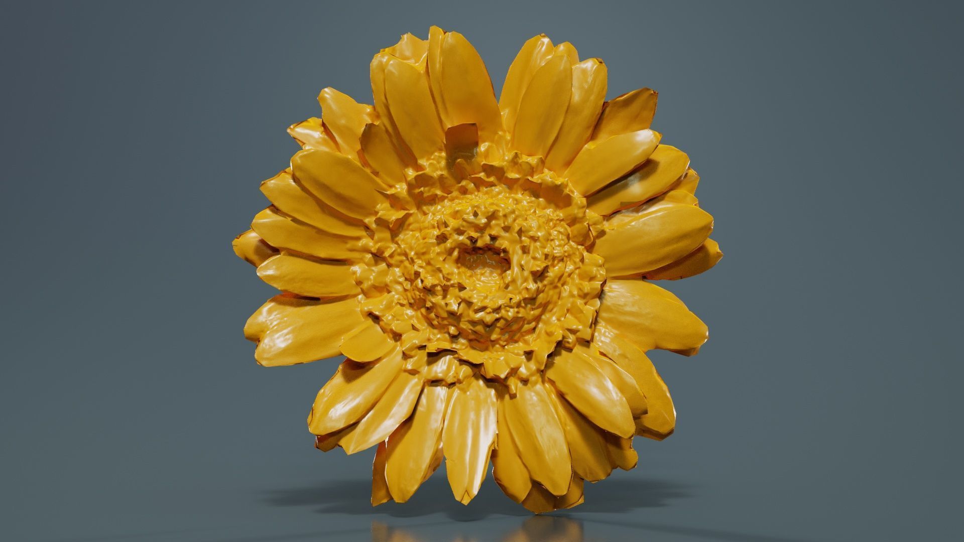 Barberton Daisy Gerbera Jamesonii Low-poly 3D model_12