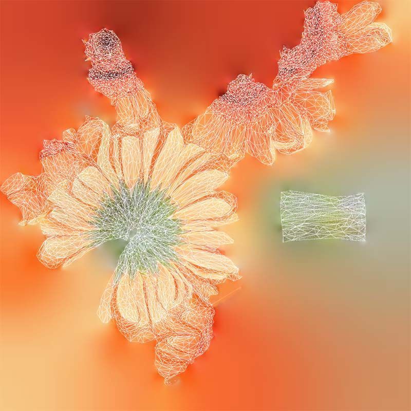 Barberton Daisy Gerbera Jamesonii Low-poly 3D model_14