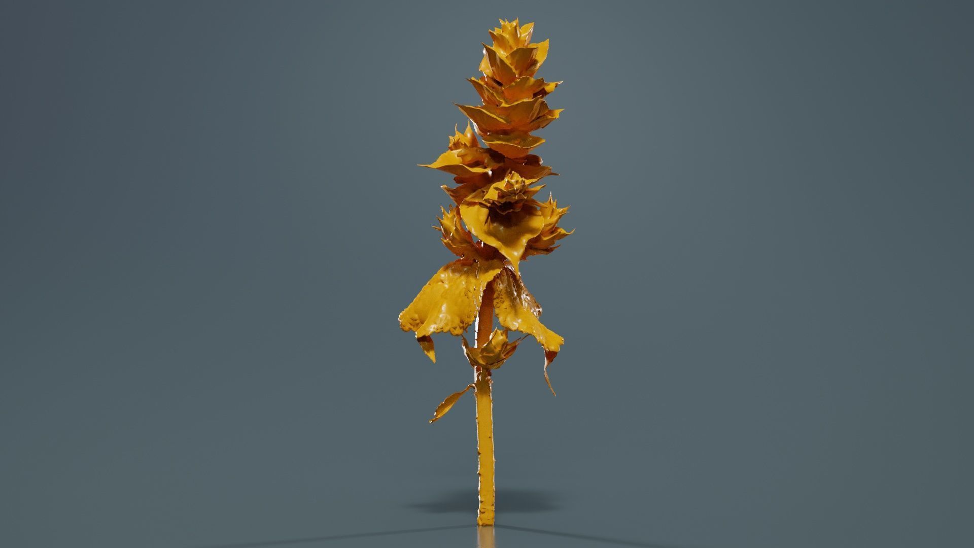 Beefsteak Plant Low-poly 3D model_12