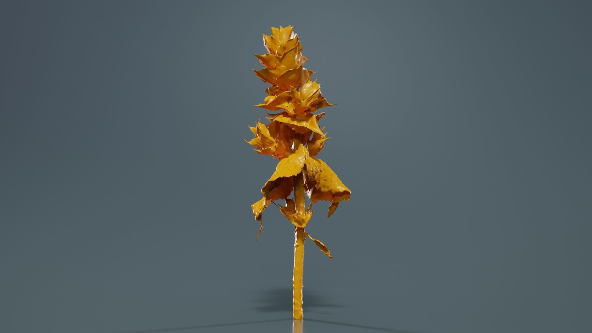 Beefsteak Plant Low-poly 3D model_13