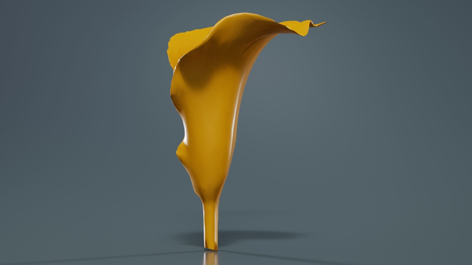 Calla Lily Yellow Low-poly 3D model_12