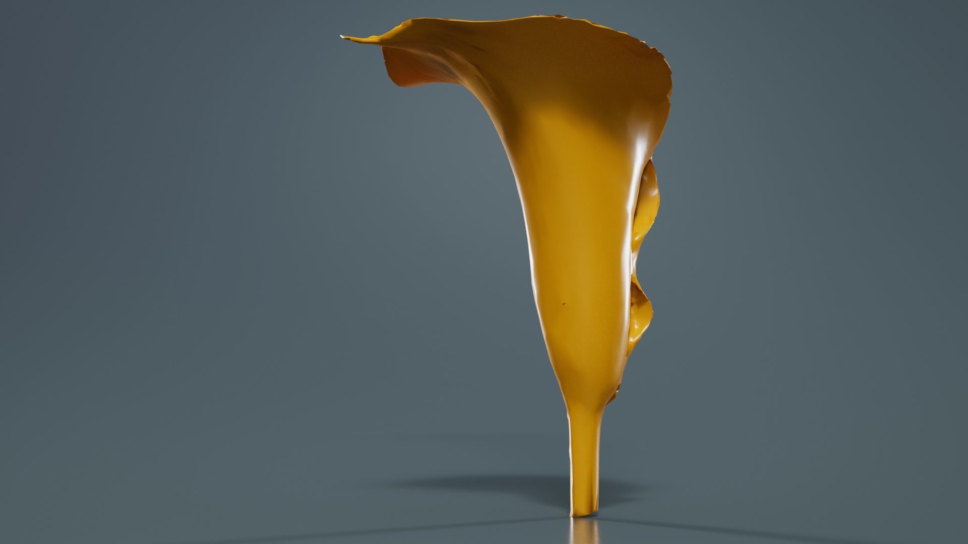 Calla Lily Yellow Low-poly 3D model_13