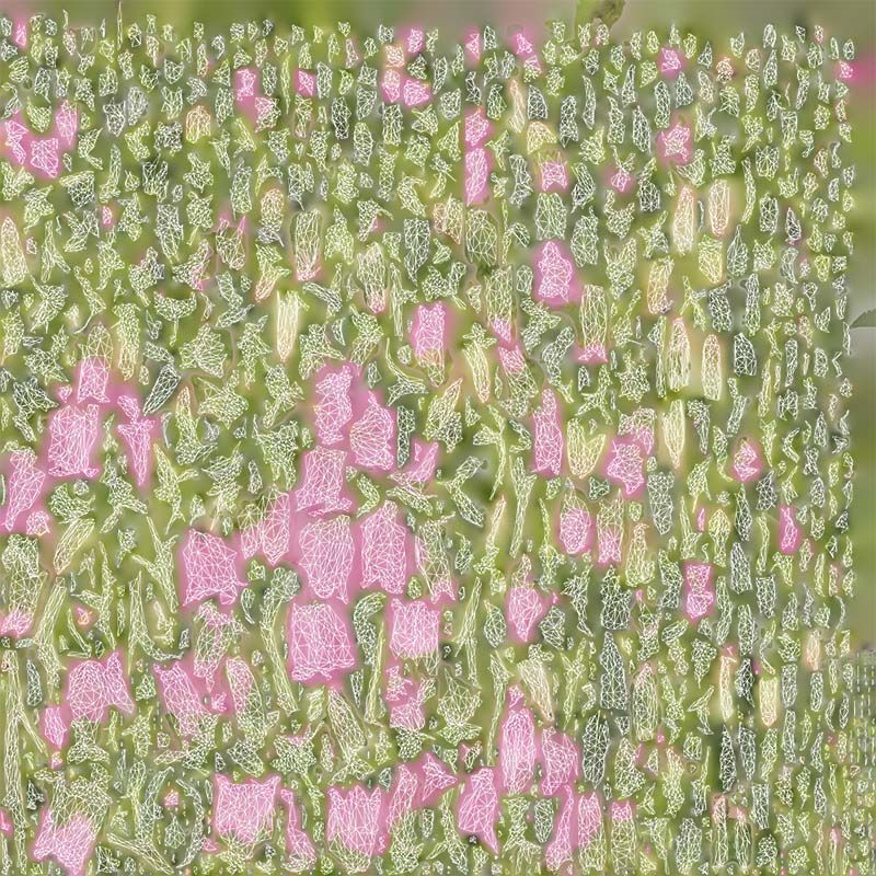 Canterbury Bellflower Campanula Medium Low-poly 3D model_14