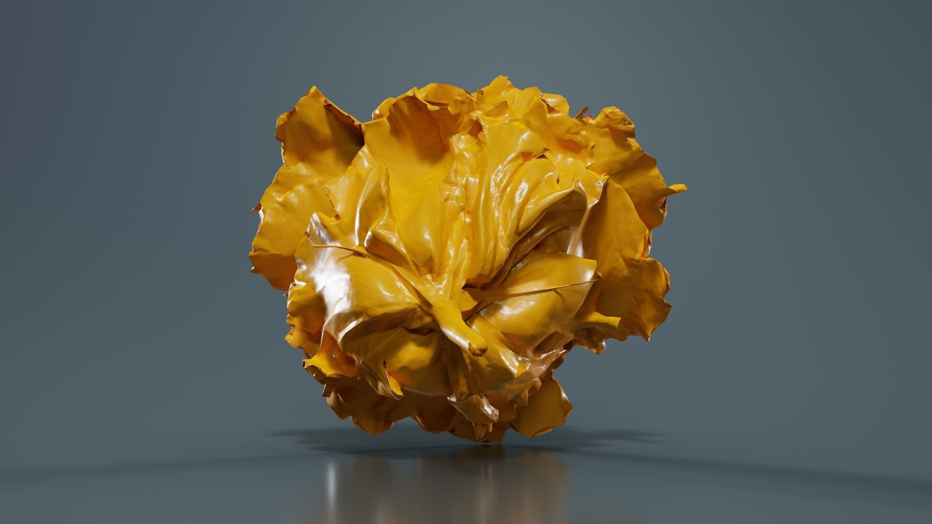 Carnation Clove Pink Dianthus Caryophyllus Low-poly 3D model_13