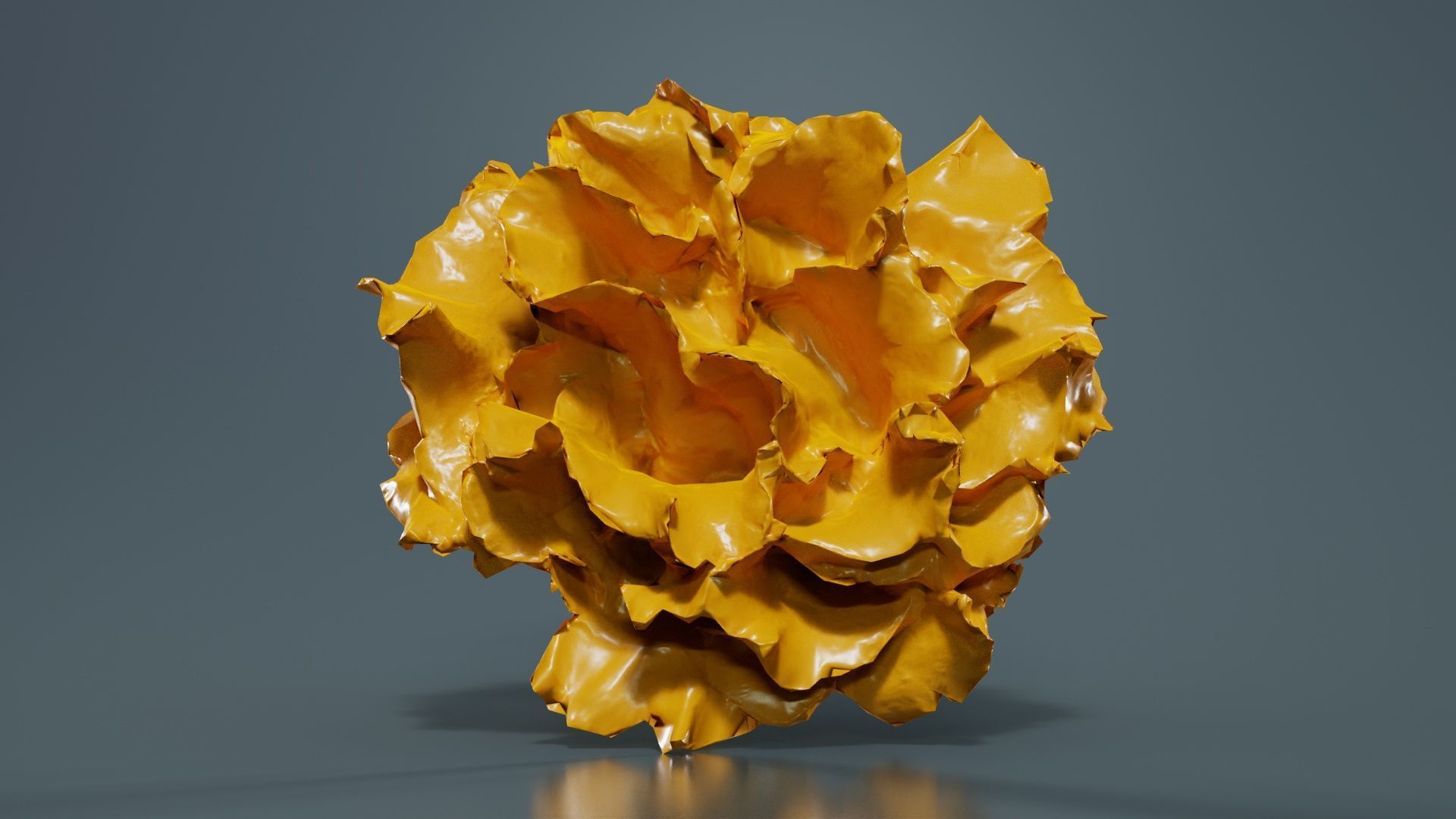 Carnation Clove Pink Dianthus Caryophyllus Low-poly 3D model_12