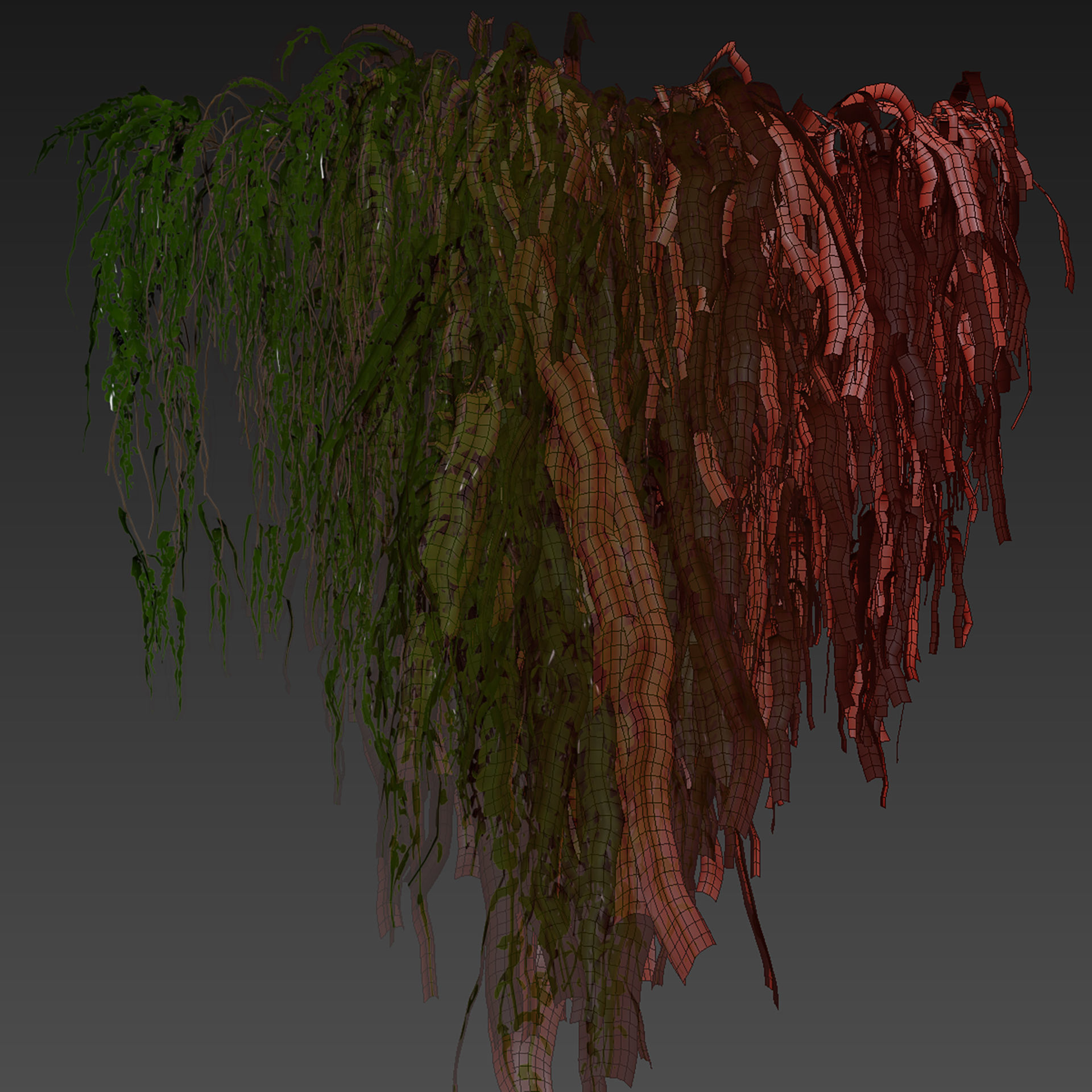 Collection plant vol 610 - Broom - Creeper - Cocculus - ivy 3D model_6