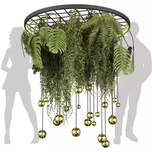 Collection plant vol 611 - Hanging - Pothos - Fern - Ampelous 