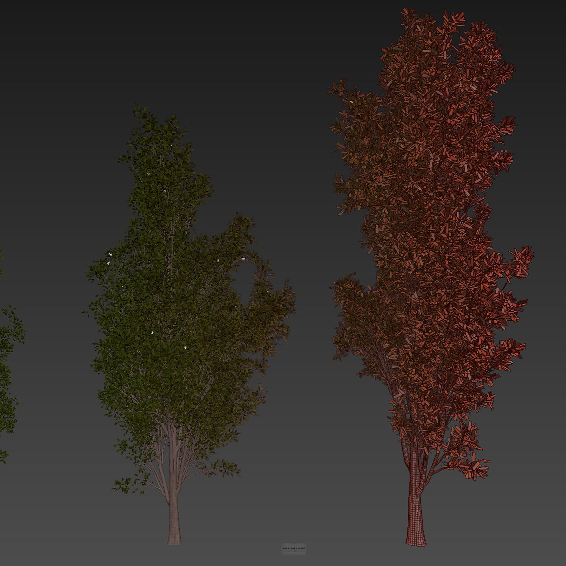 Collection plant vol 612 - Populus - Tremuloides - Tree 3D model_6