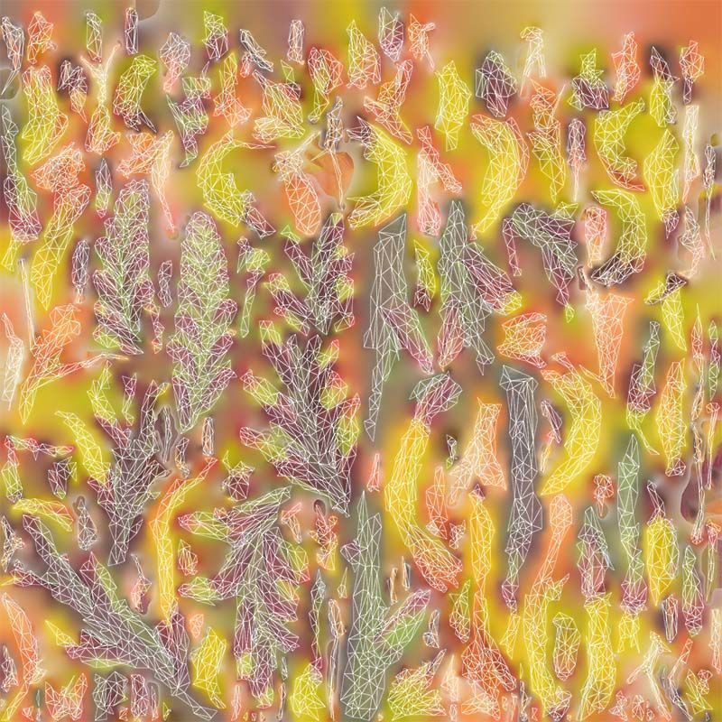 Close up African Flag Cornflag Chasmanthe Floribunda Low-poly 3D model_14