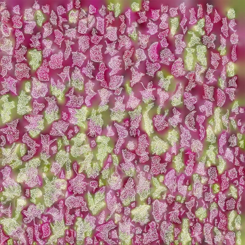 Close up Great Garden Snapdragon Dragon Plant Antirrhinum Majus Low-poly 3D model_14