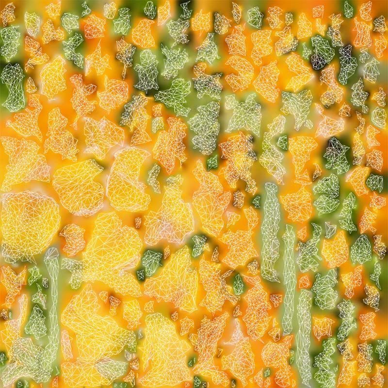 Close up Persian Buttercup Carden Crowfoot Ranunculus Asiaticus Low-poly 3D model_14