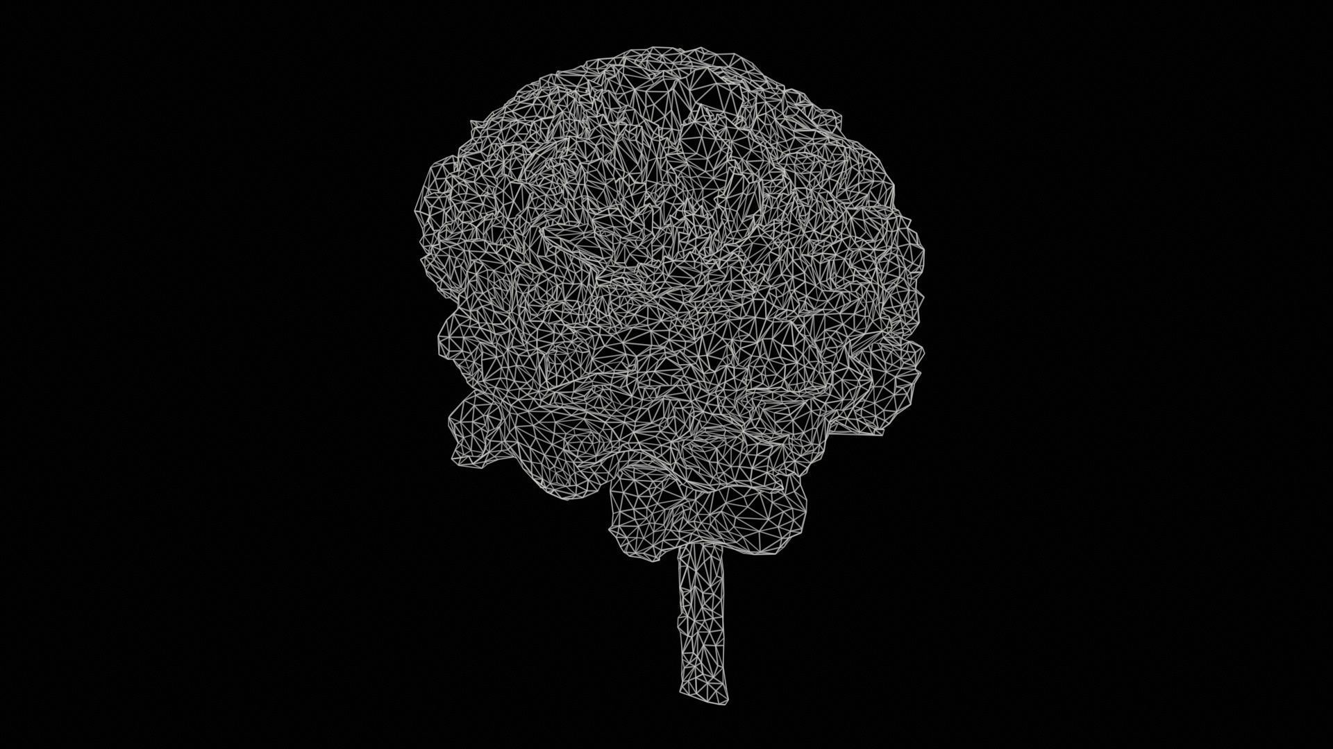 Close up Persian Buttercup Carden Crowfoot Ranunculus Asiaticus Low-poly 3D model_11