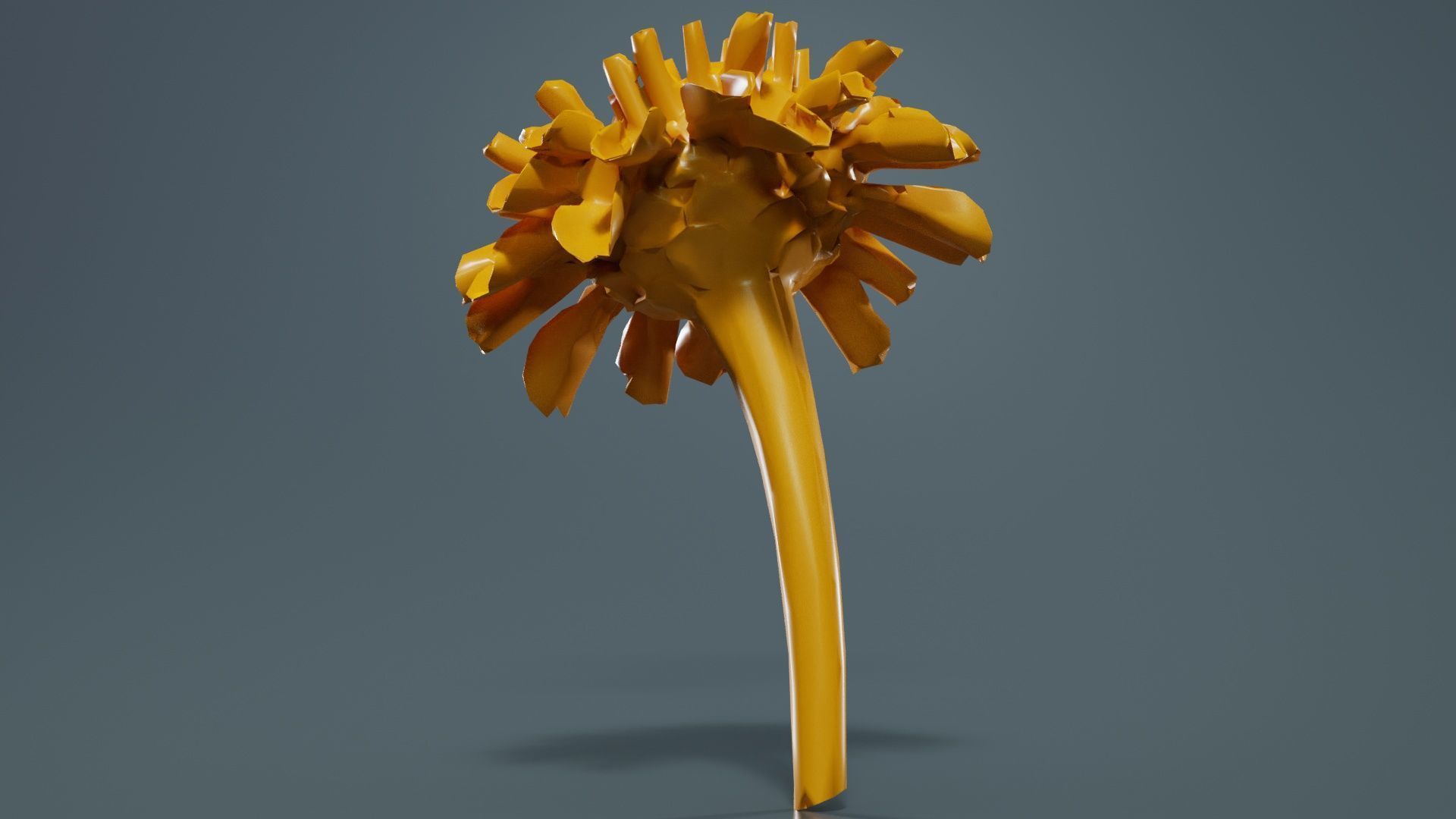 Elegant Zinnia Green Low-poly 3D model_13