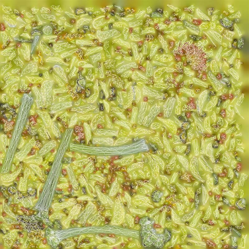 Elegant Zinnia Green Low-poly 3D model_14