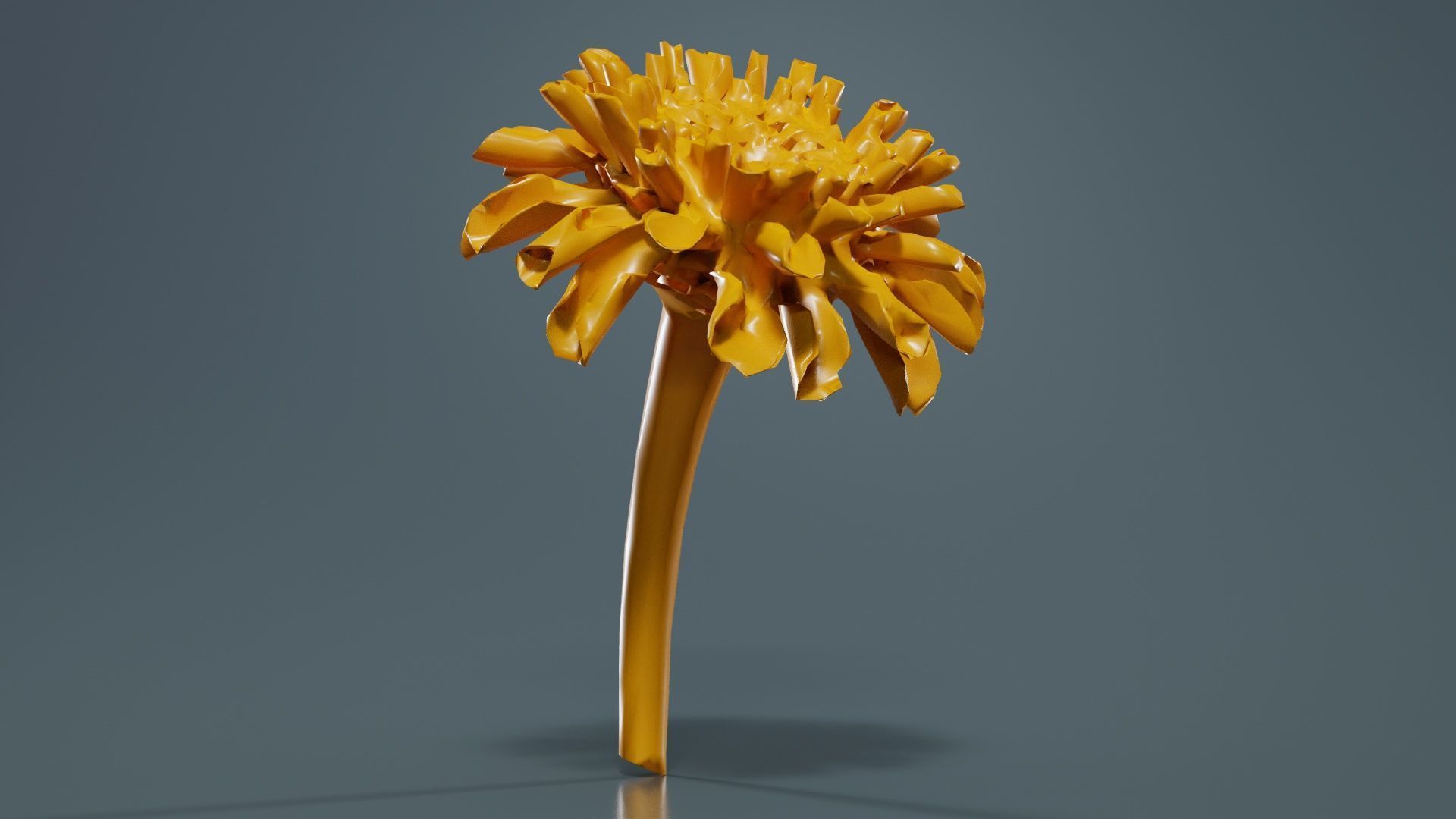 Elegant Zinnia Green Low-poly 3D model_12