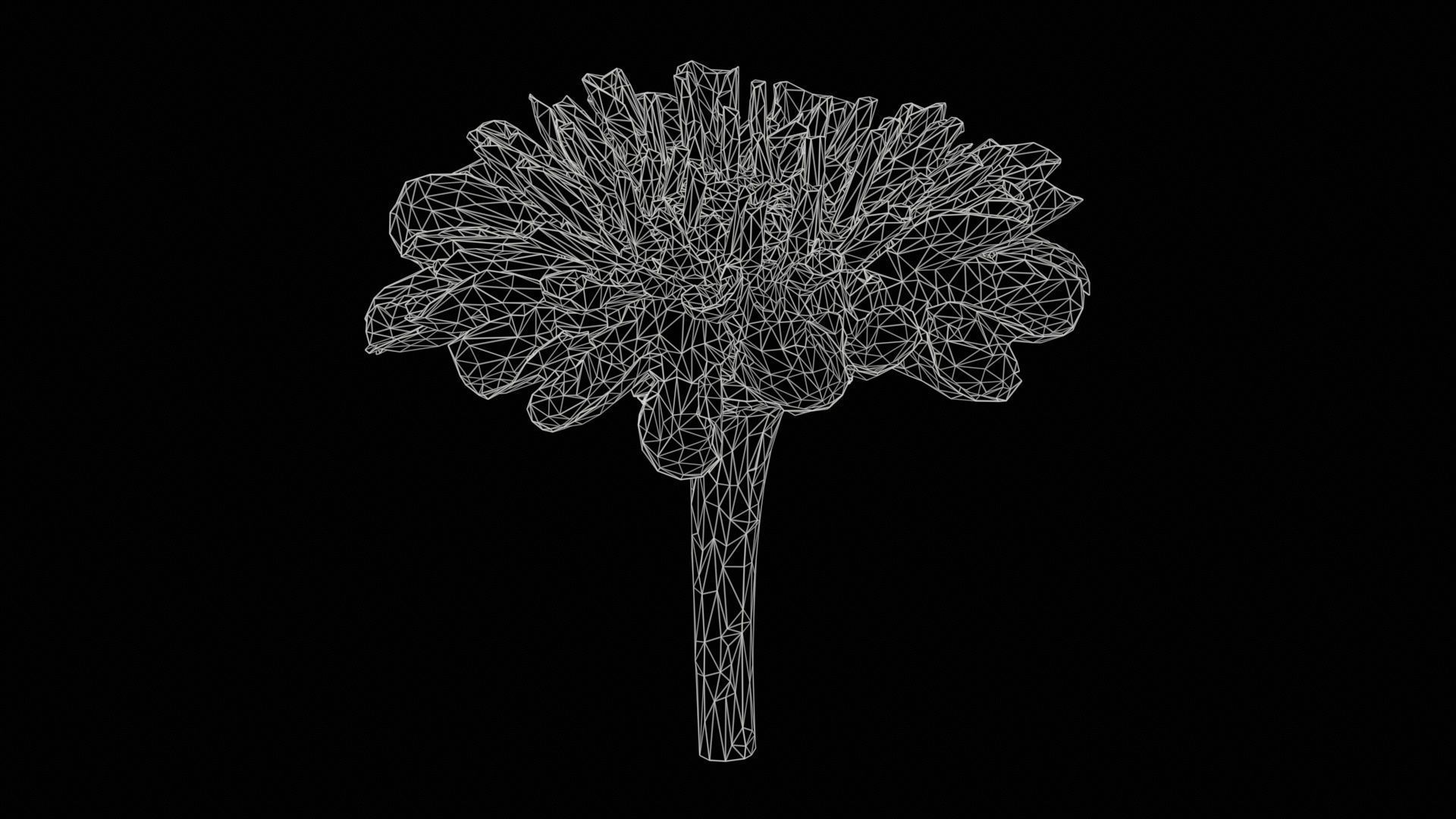 Elegant Zinnia Red Low-poly 3D model_11