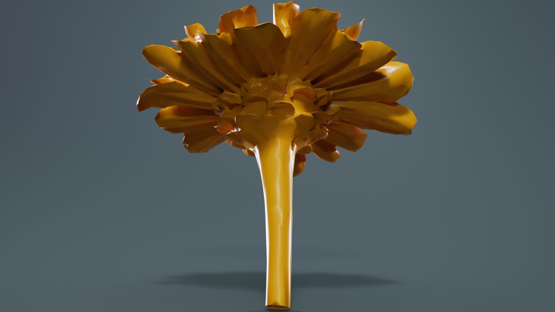 Elegant Zinnia Red Low-poly 3D model_13