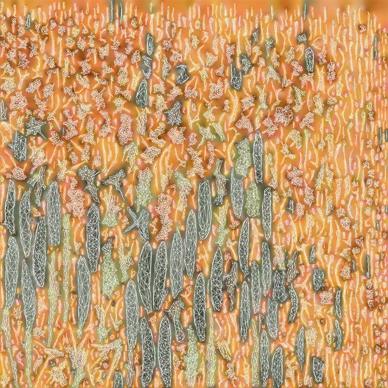 Ornamental Pincushion Leucospermum Cordifolium Low-poly 3D model_14