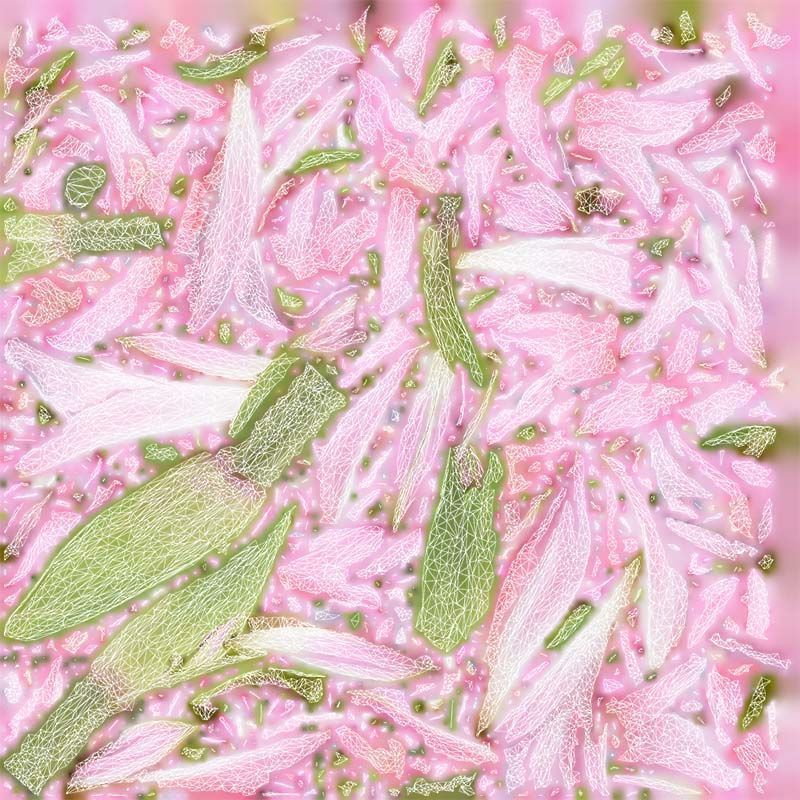 Pink Lily Low-poly 3D model_14