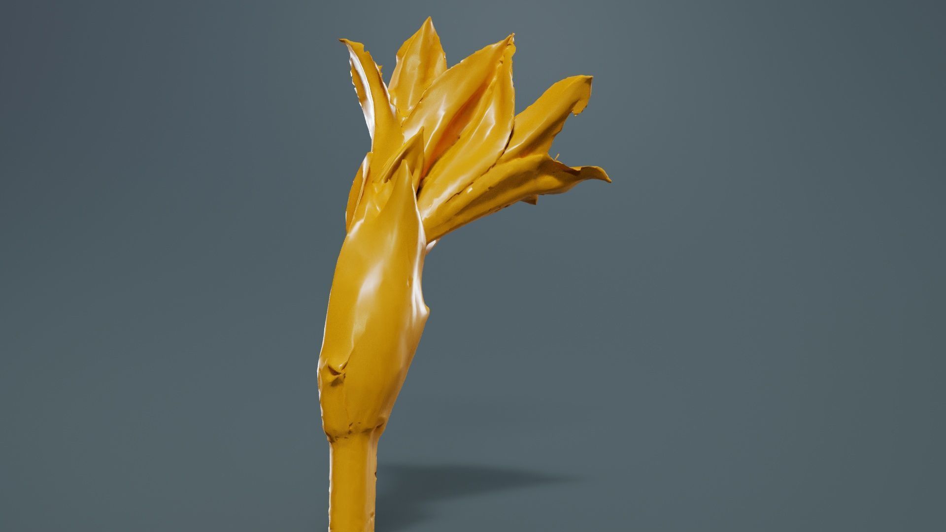 Pink Lily Low-poly 3D model_13