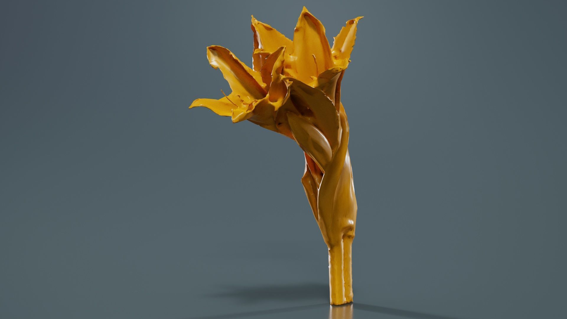 Pink Lily Low-poly 3D model_12