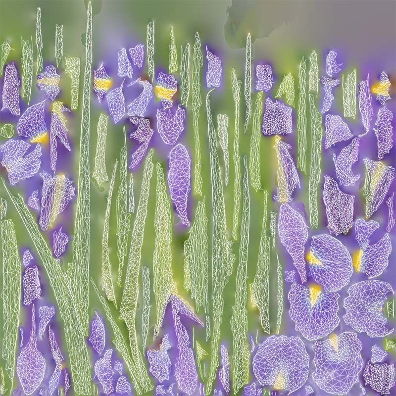 Spanish Iris Small Bulbous Rooted Iris Iris Xiphium Low-poly 3D model_14