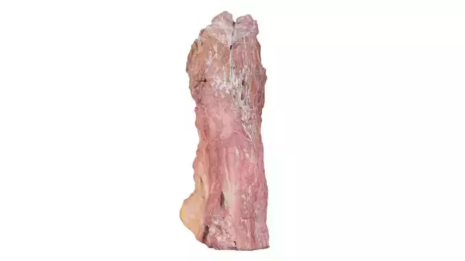 Suiseki Rock 26 Low-poly 3D model