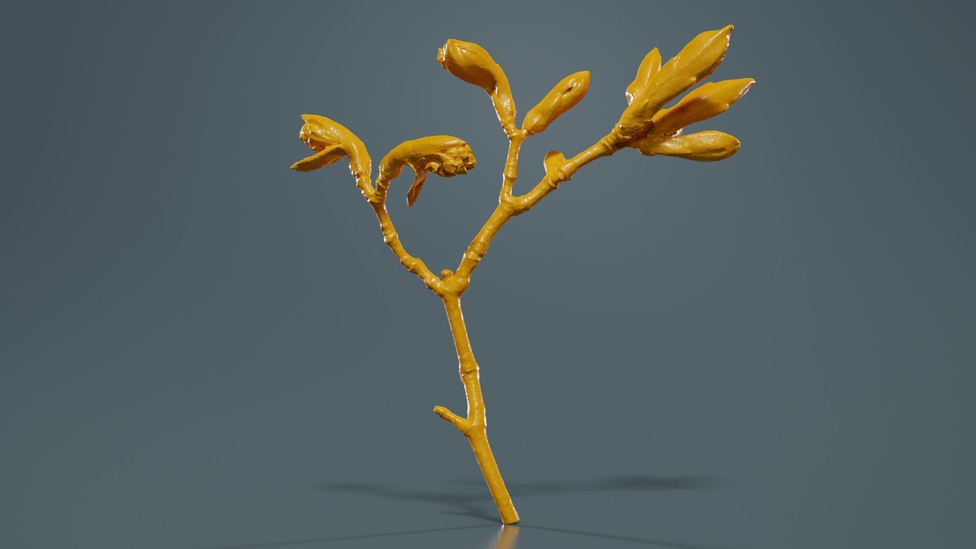 Acer Opalus Mill Italian Maple Sapindaceae Sprout Low-poly 3D model_13