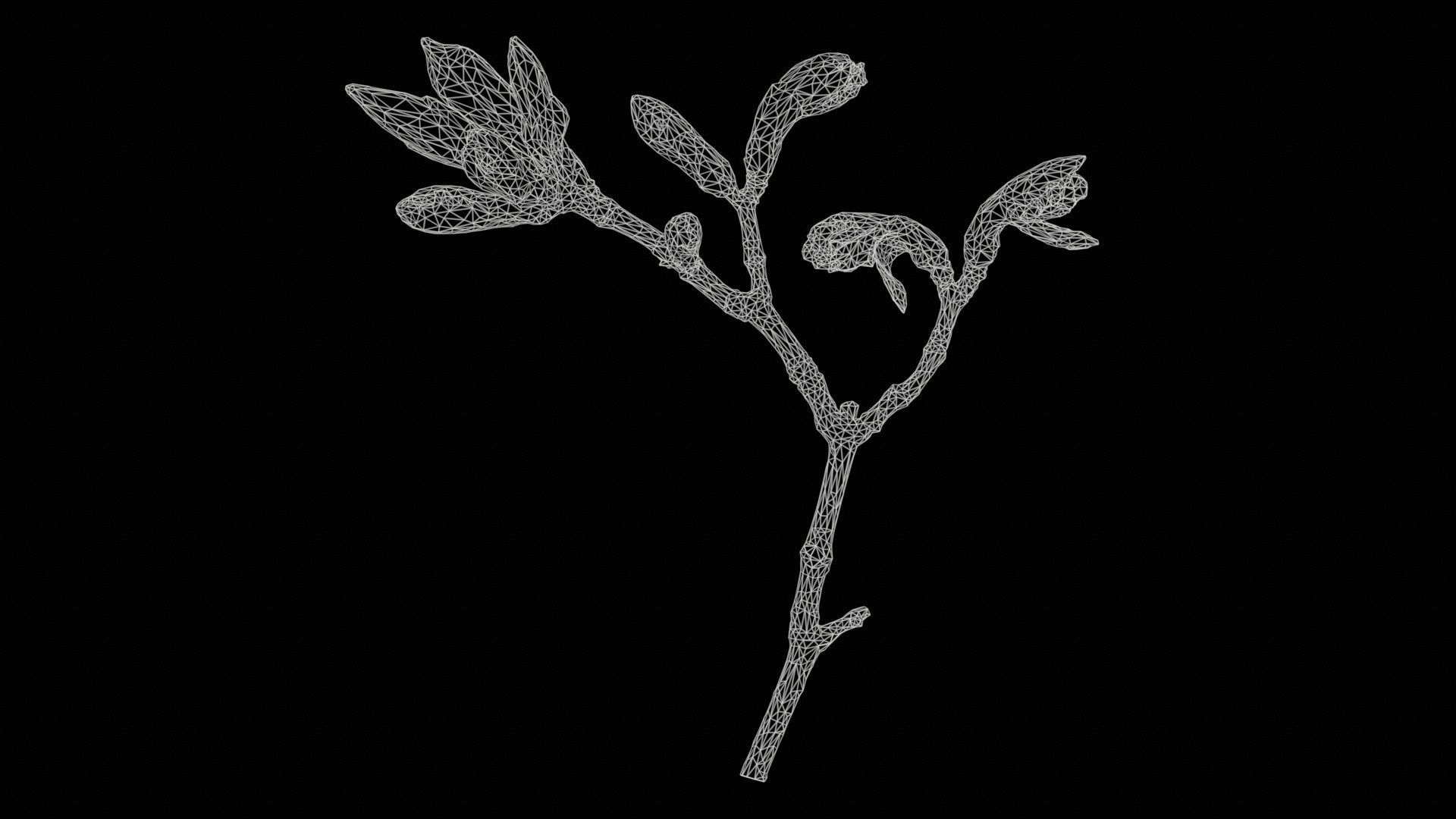 Acer Opalus Mill Italian Maple Sapindaceae Sprout Low-poly 3D model_11