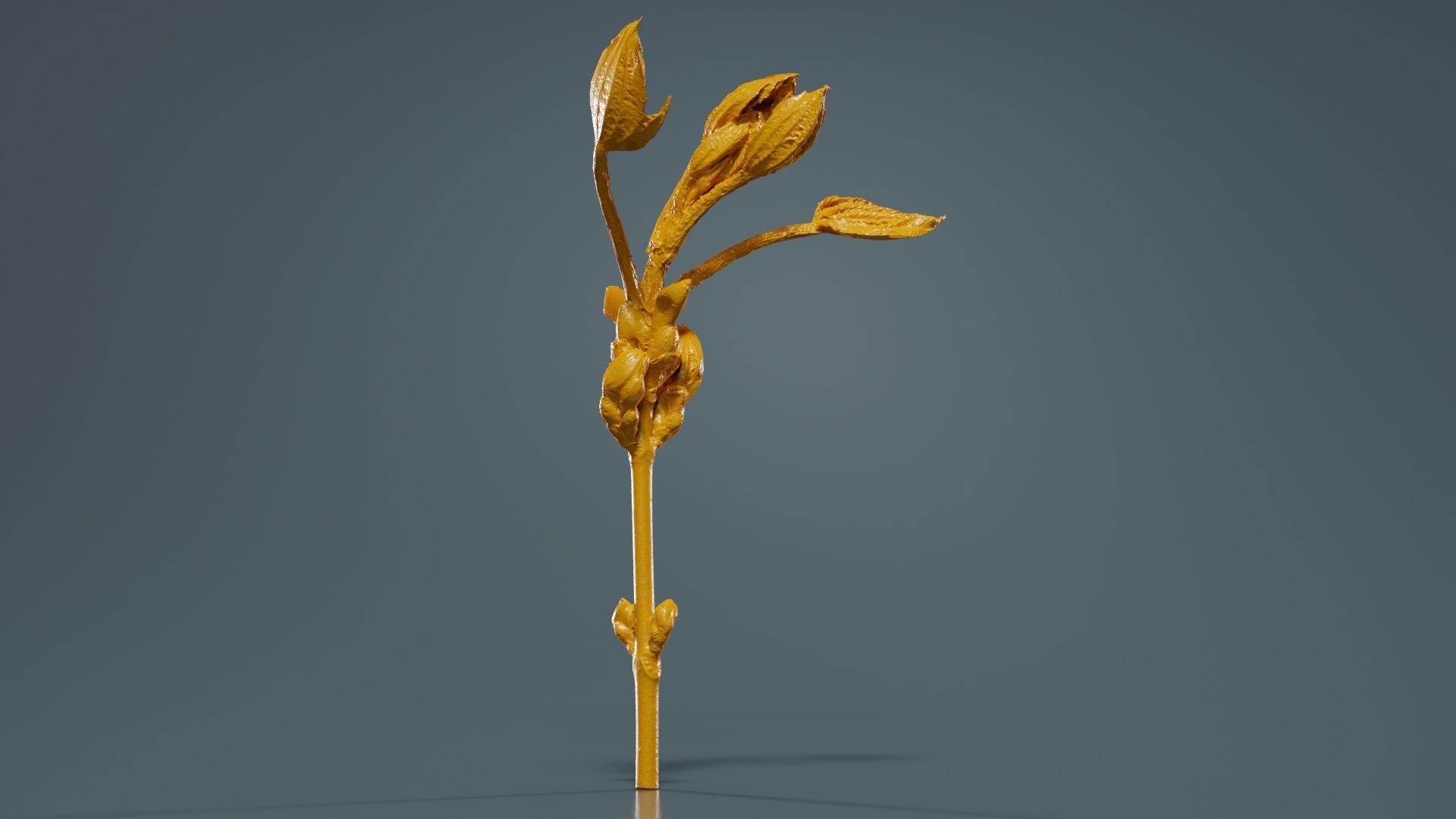 Aesculus Hippocastanum Common Horse Chestnut Sapindaceae Spro... Low-poly 3D model_12