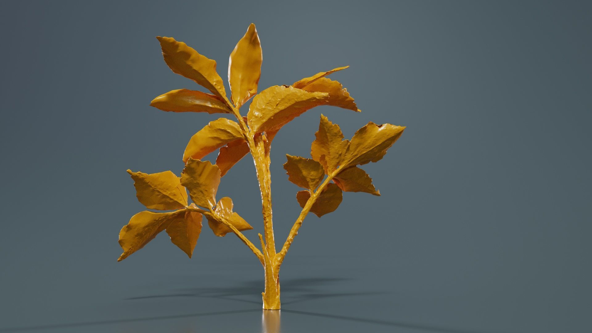 Angelica Archangelica Angelica Apiaceae Sprout 2 Low-poly 3D model_13