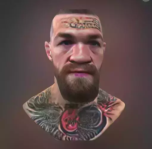 Conor Mcgregor Bust
