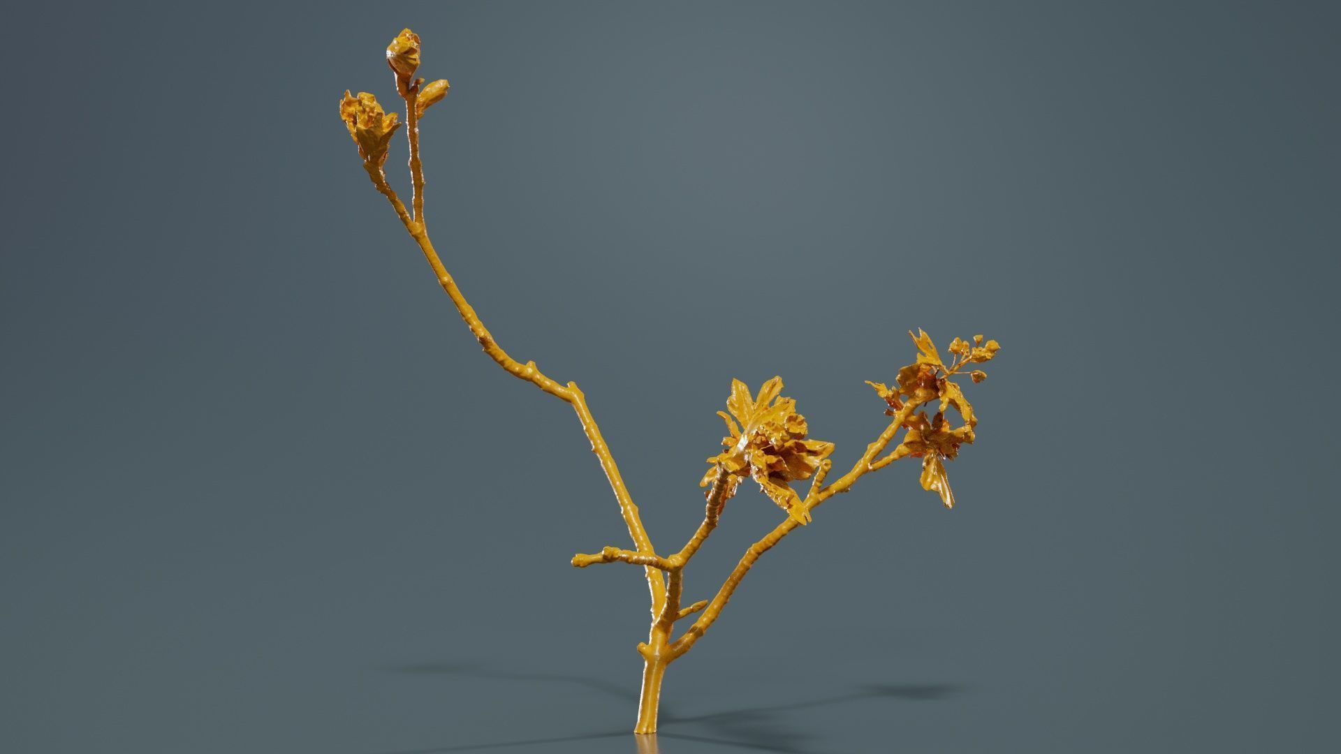 Ribes Alpinum Alpine Currant Grossulariaceae Sprout Low-poly 3D model_12