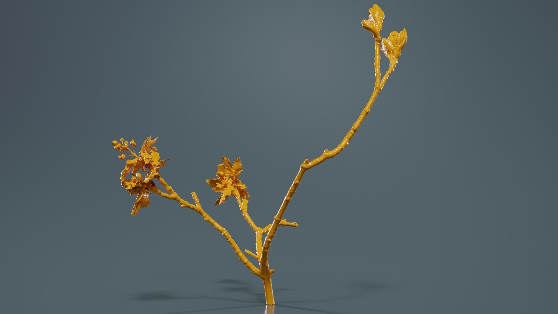 Ribes Alpinum Alpine Currant Grossulariaceae Sprout Low-poly 3D model_13