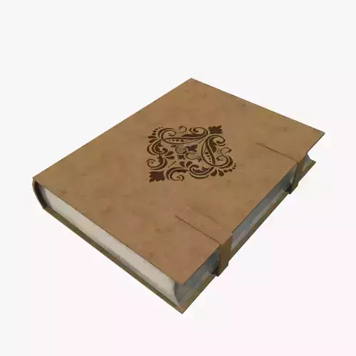 Medieval Book V03