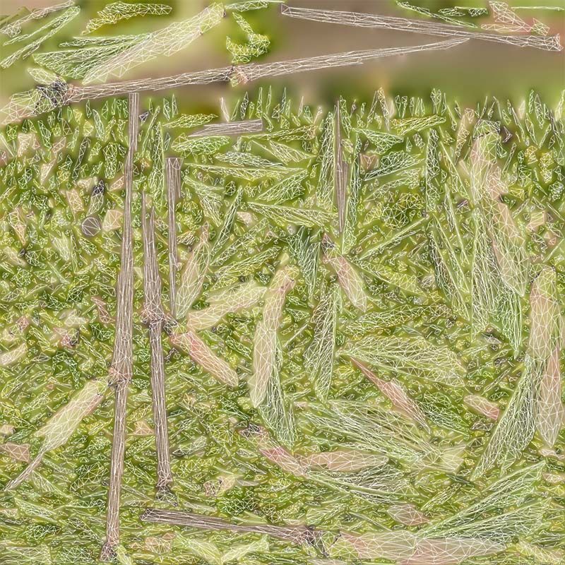 Sycamore Maple Sapindaceae Sprout Low-poly 3D model_14