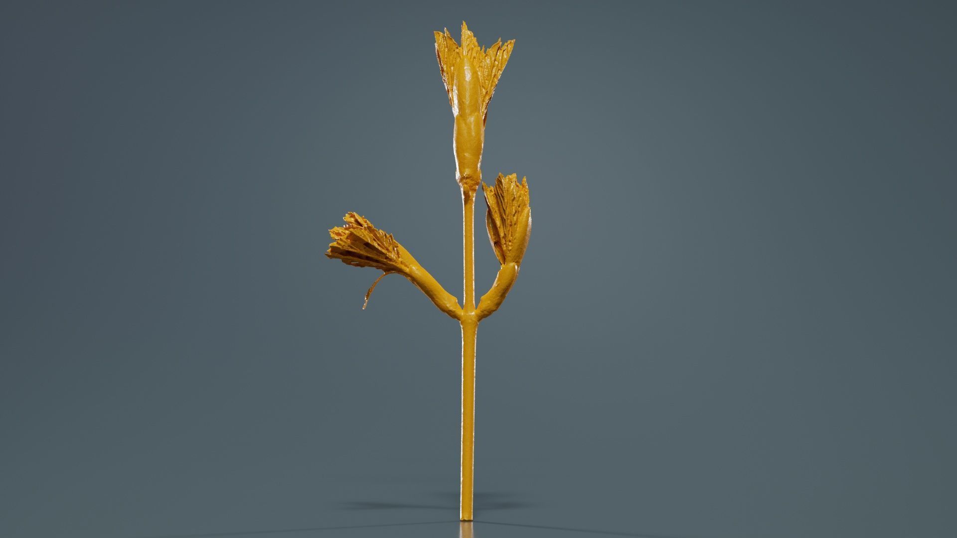 Sycamore Maple Sapindaceae Sprout Low-poly 3D model_13