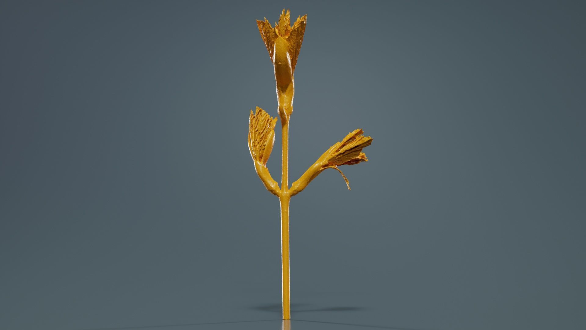 Sycamore Maple Sapindaceae Sprout Low-poly 3D model_12