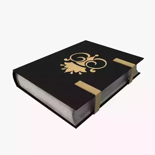Medieval Book V08