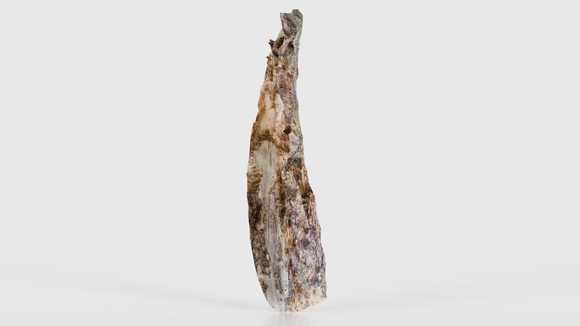 Carved Tree Bark Low-poly 3D model_19