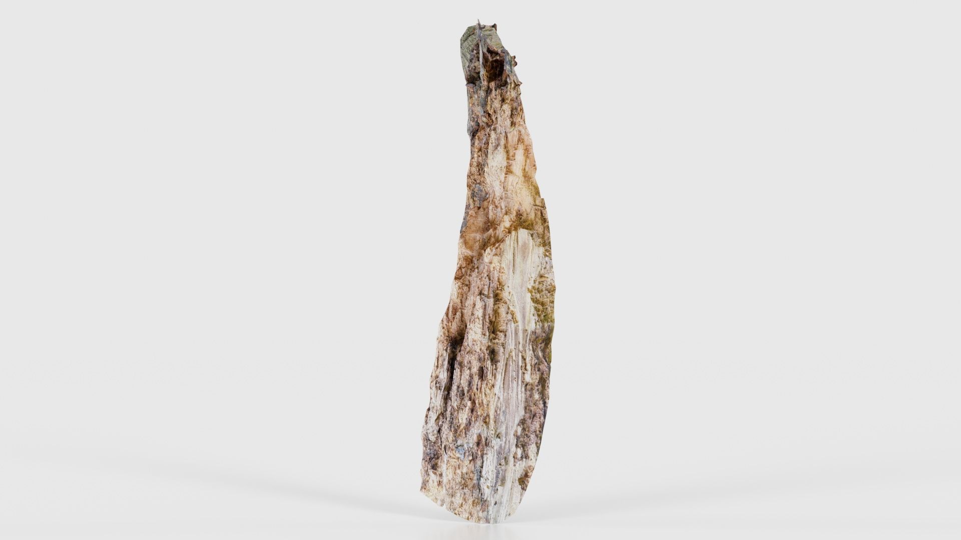 Carved Tree Bark Low-poly 3D model_25