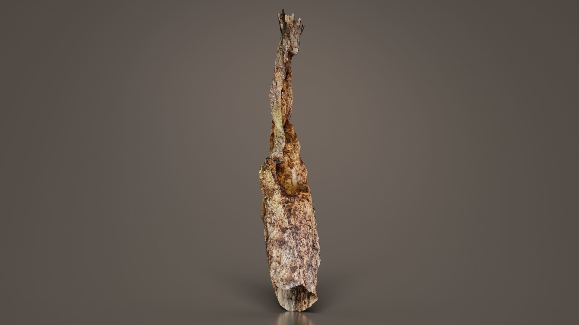 Carved Tree Bark Low-poly 3D model_2