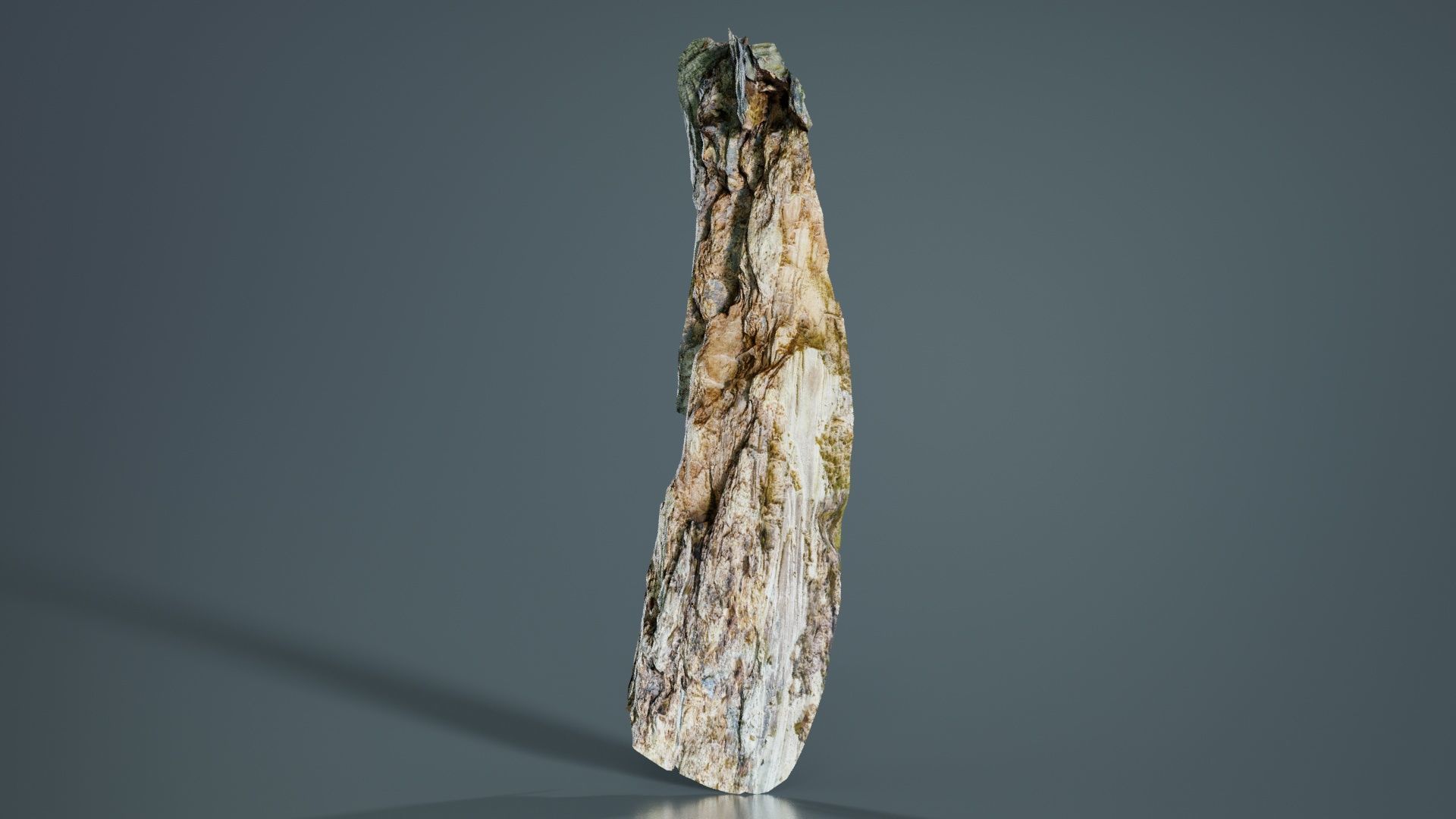 Carved Tree Bark Low-poly 3D model_5