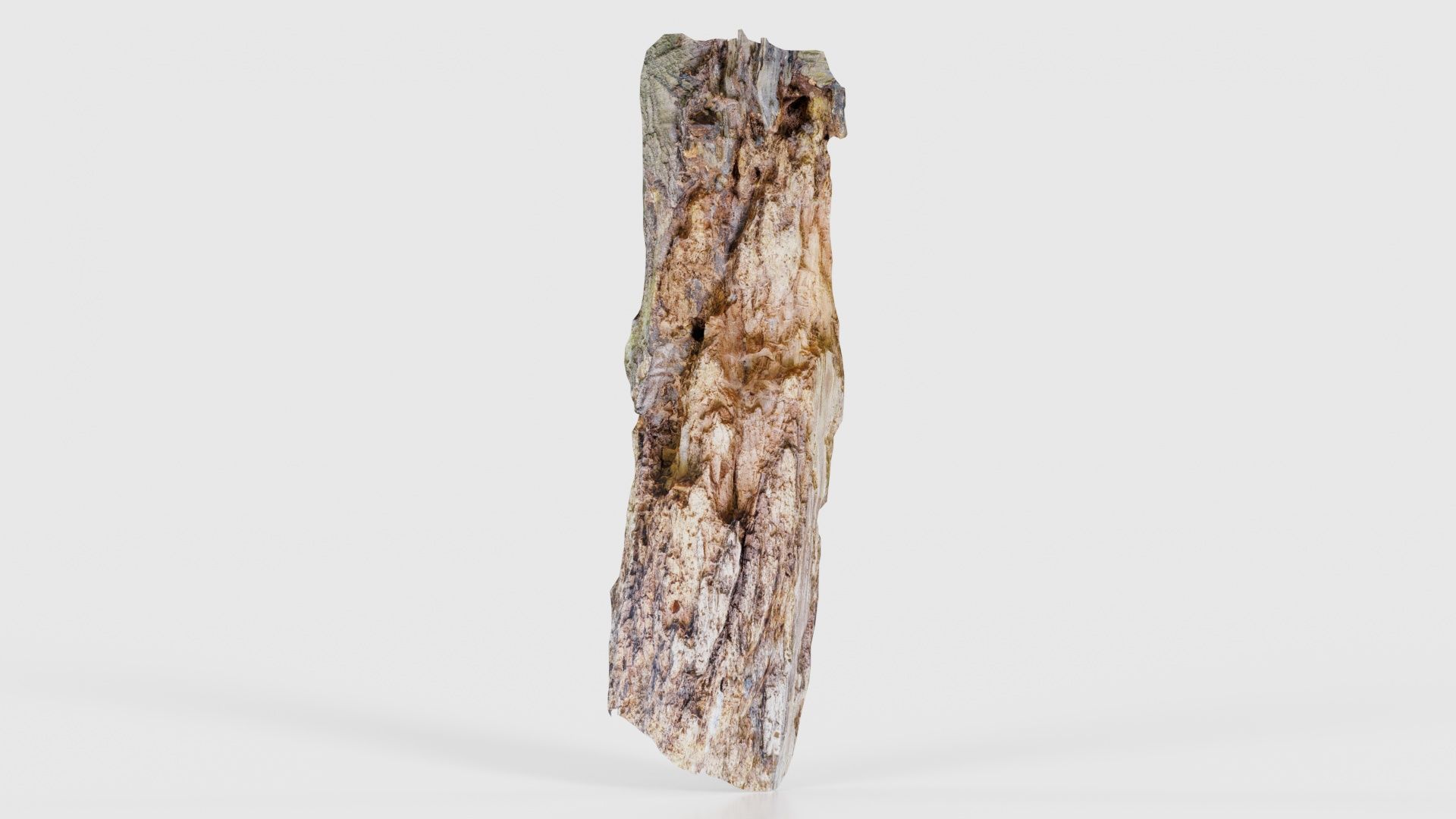 Carved Tree Bark Low-poly 3D model_15