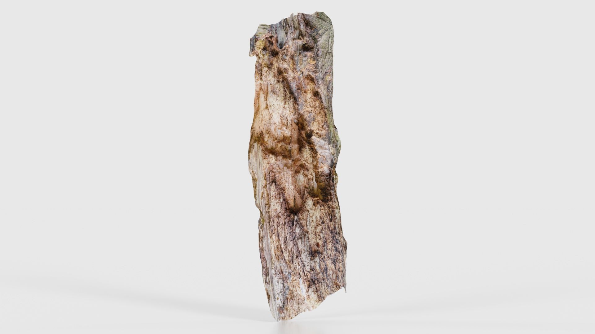 Carved Tree Bark Low-poly 3D model_21