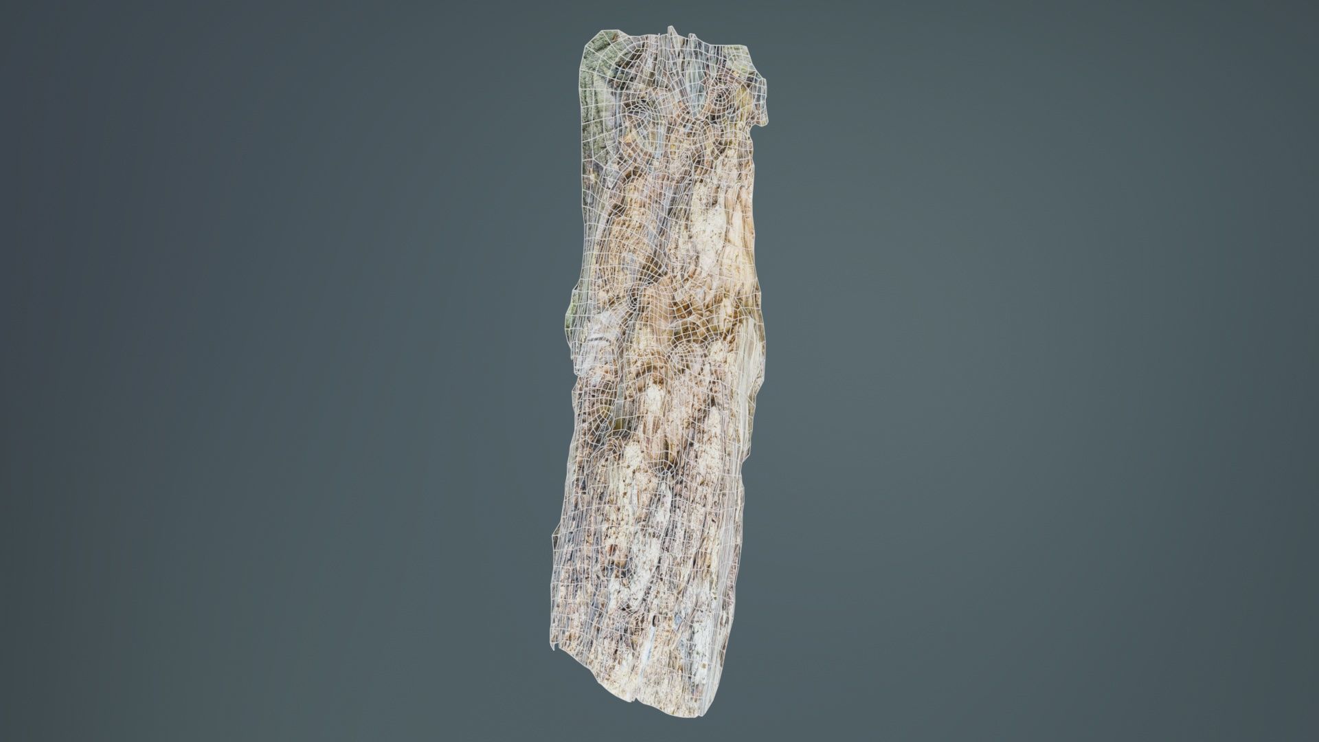 Carved Tree Bark Low-poly 3D model_9