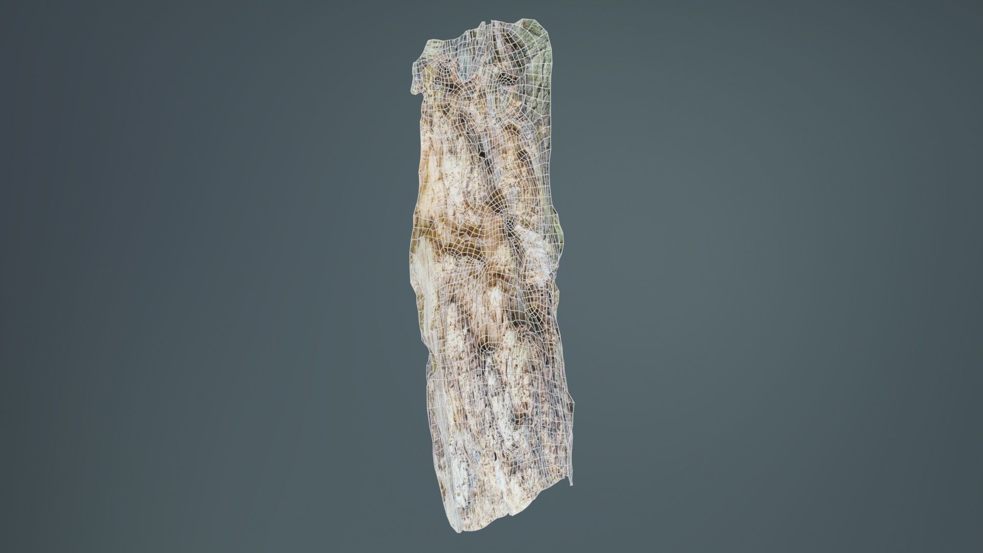 Carved Tree Bark Low-poly 3D model_10