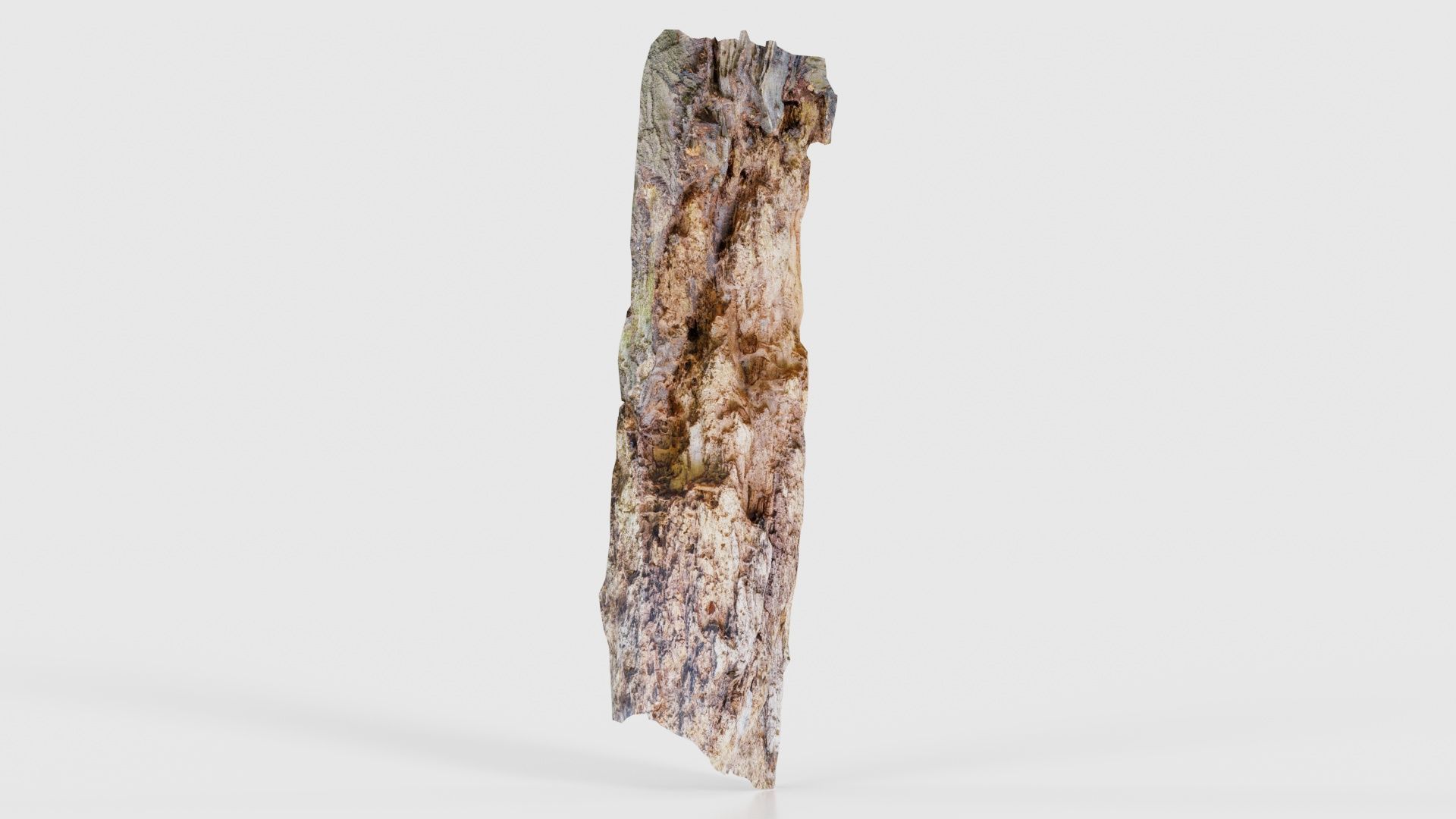 Carved Tree Bark Low-poly 3D model_16